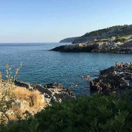 Salento House Corsano